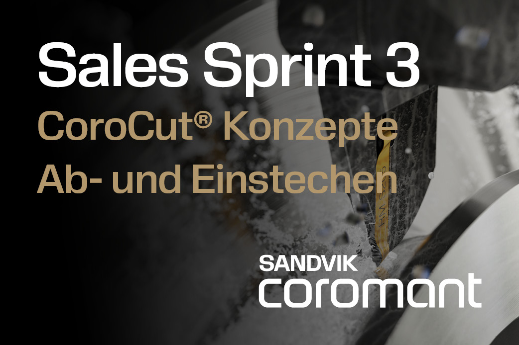 SANDVIK Sales Sprint 3 - 2025